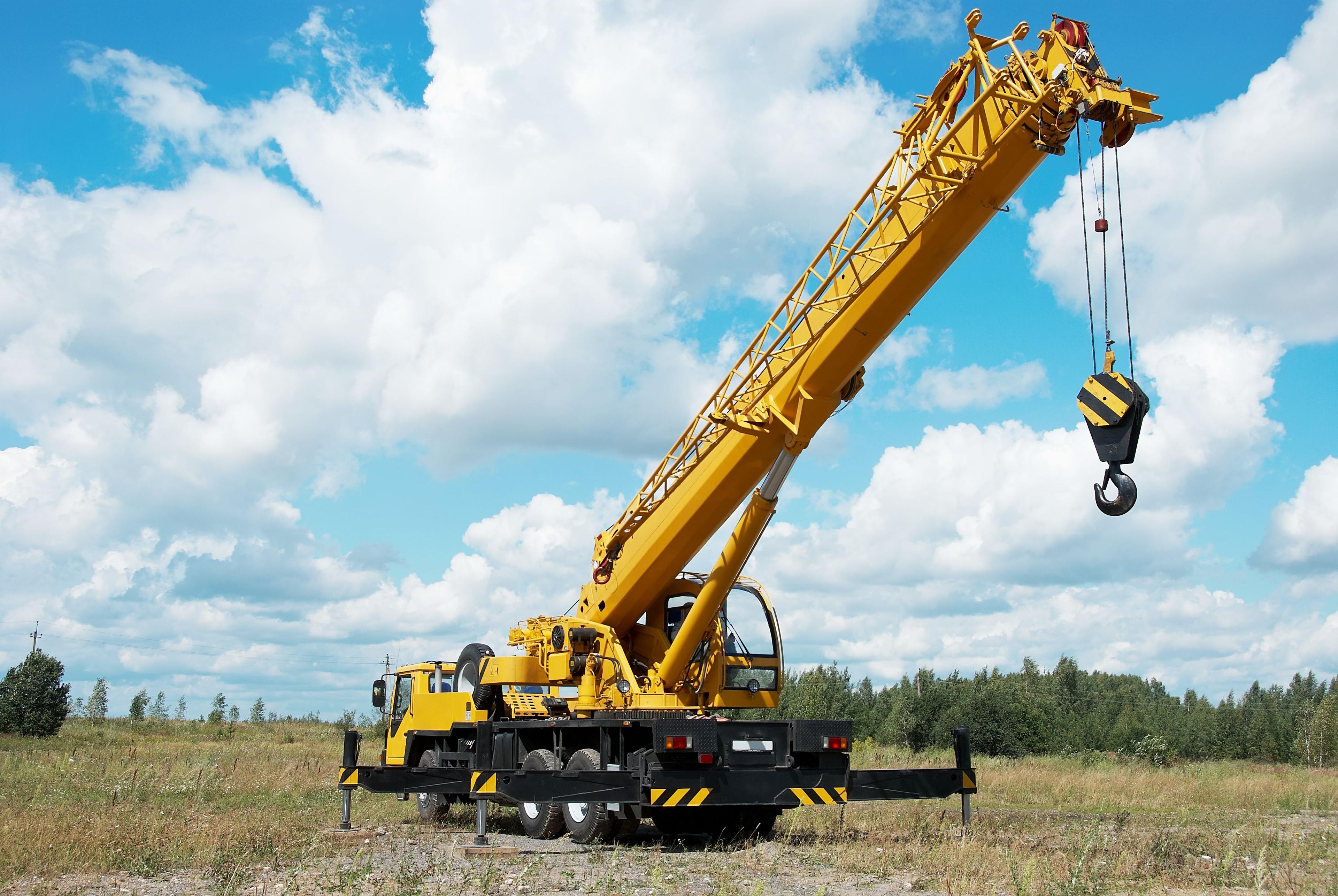 Yellow Crane Image