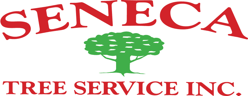 Seneca Tree Services logo in color