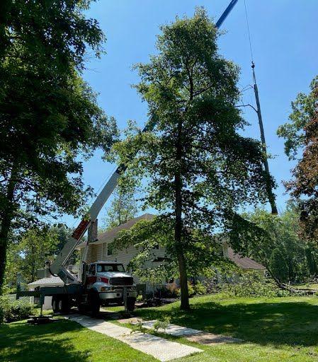 Seneca Tree Services Crane being used on project in NJ