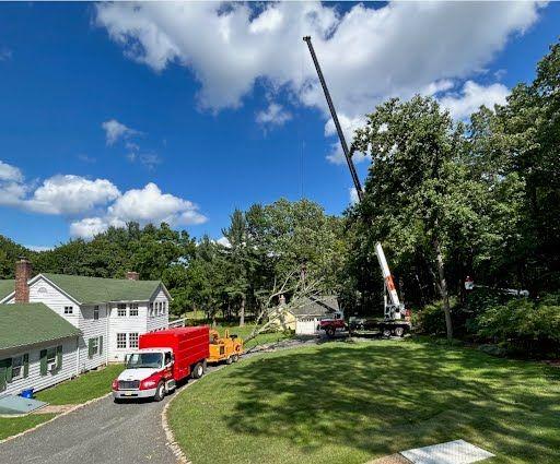 Seneca Tree Services Crane and Trucks removing trees from project in Morris County, nJ