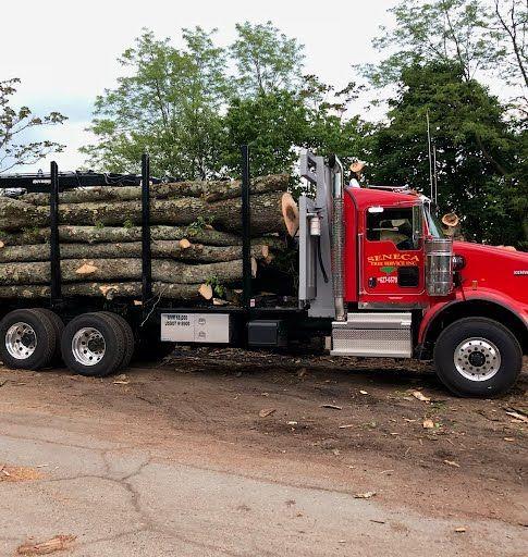 Seneca Tree truck fully loaded with cut down tree on a project in Morris County NJ