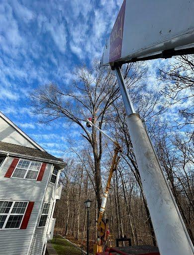 Seneca Tree Services employee showing view from crane during tree removal at a project in Morris County NJ